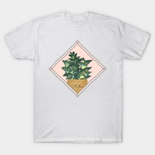 Haworthia Viscosa Succulent in a Rectangle Frame T-Shirt
